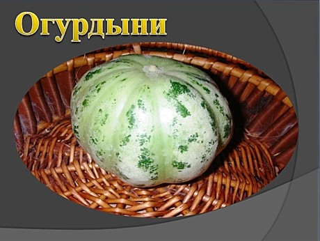 Огурдыни